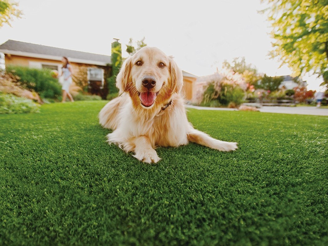 Why Choose Artificial Grass for Yo