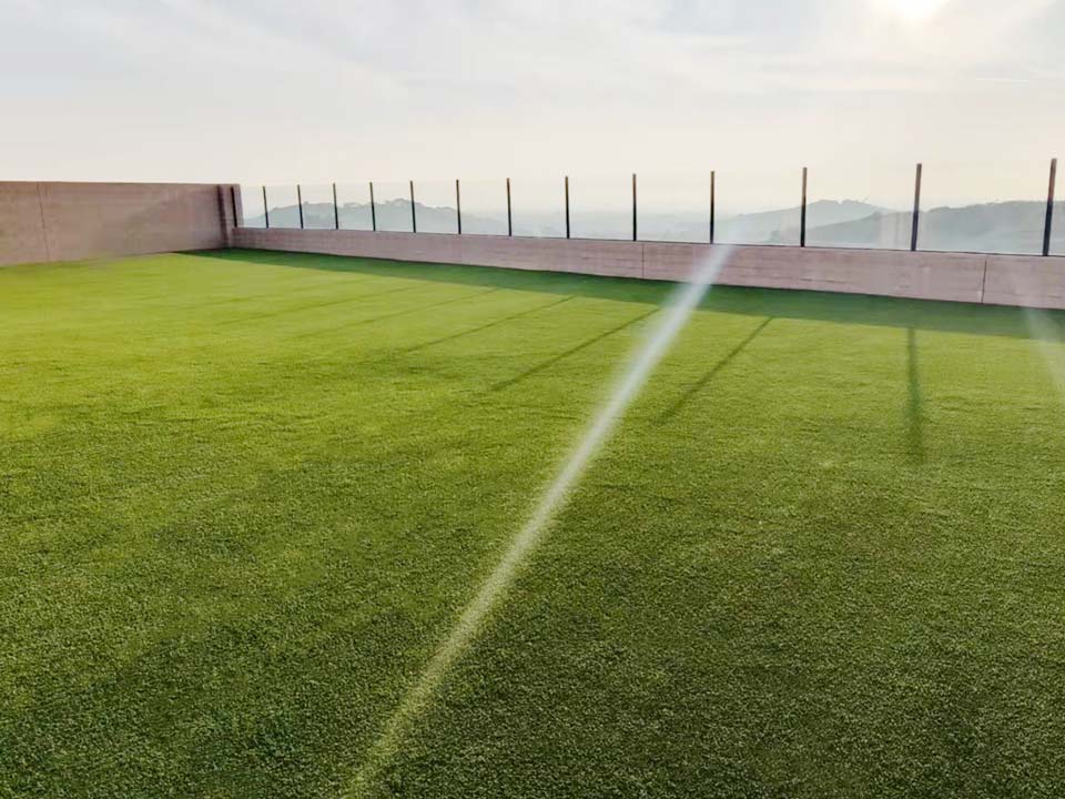 Artificial Grass Designs