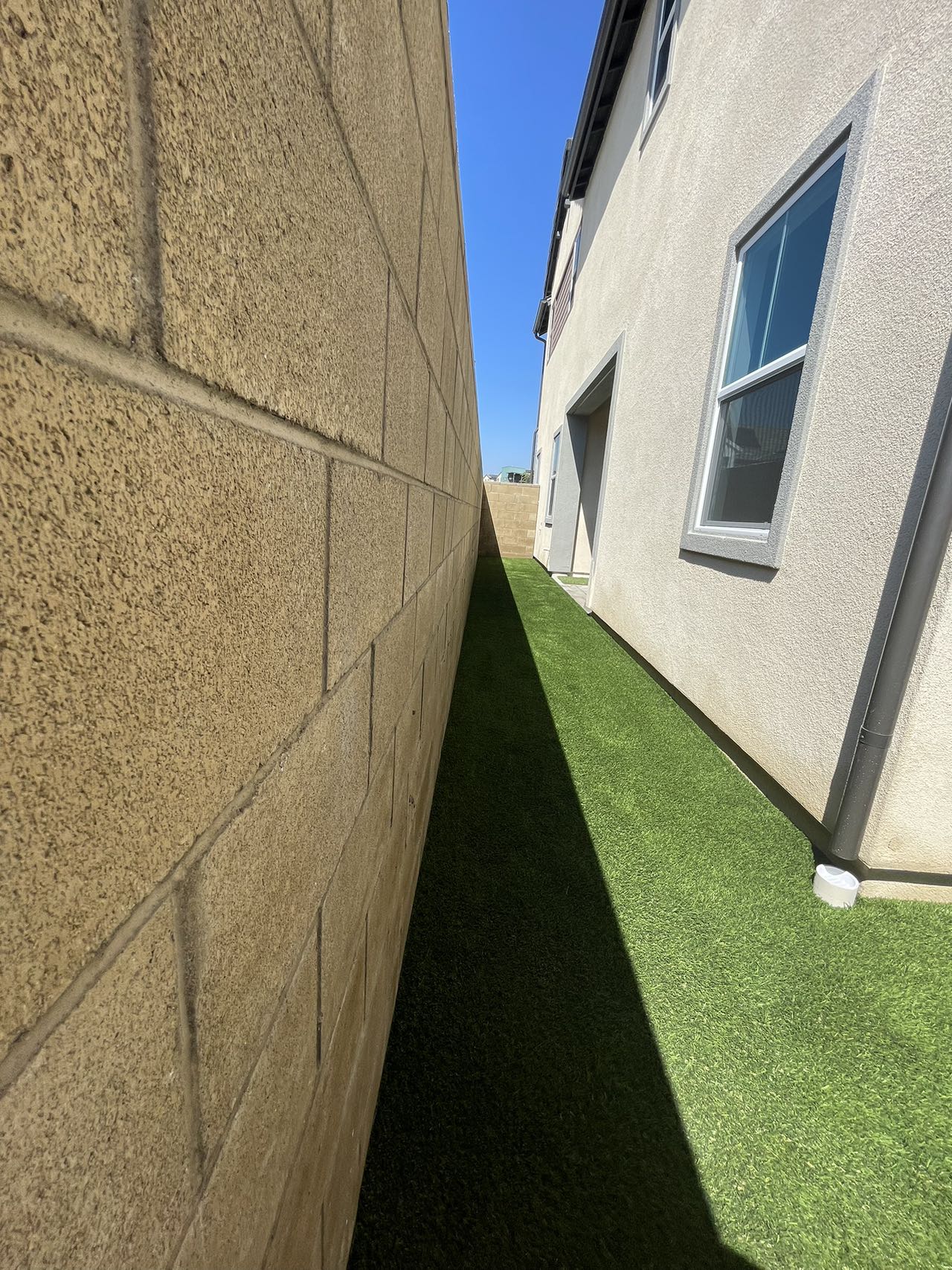 Monday Irvine3_2.jpg