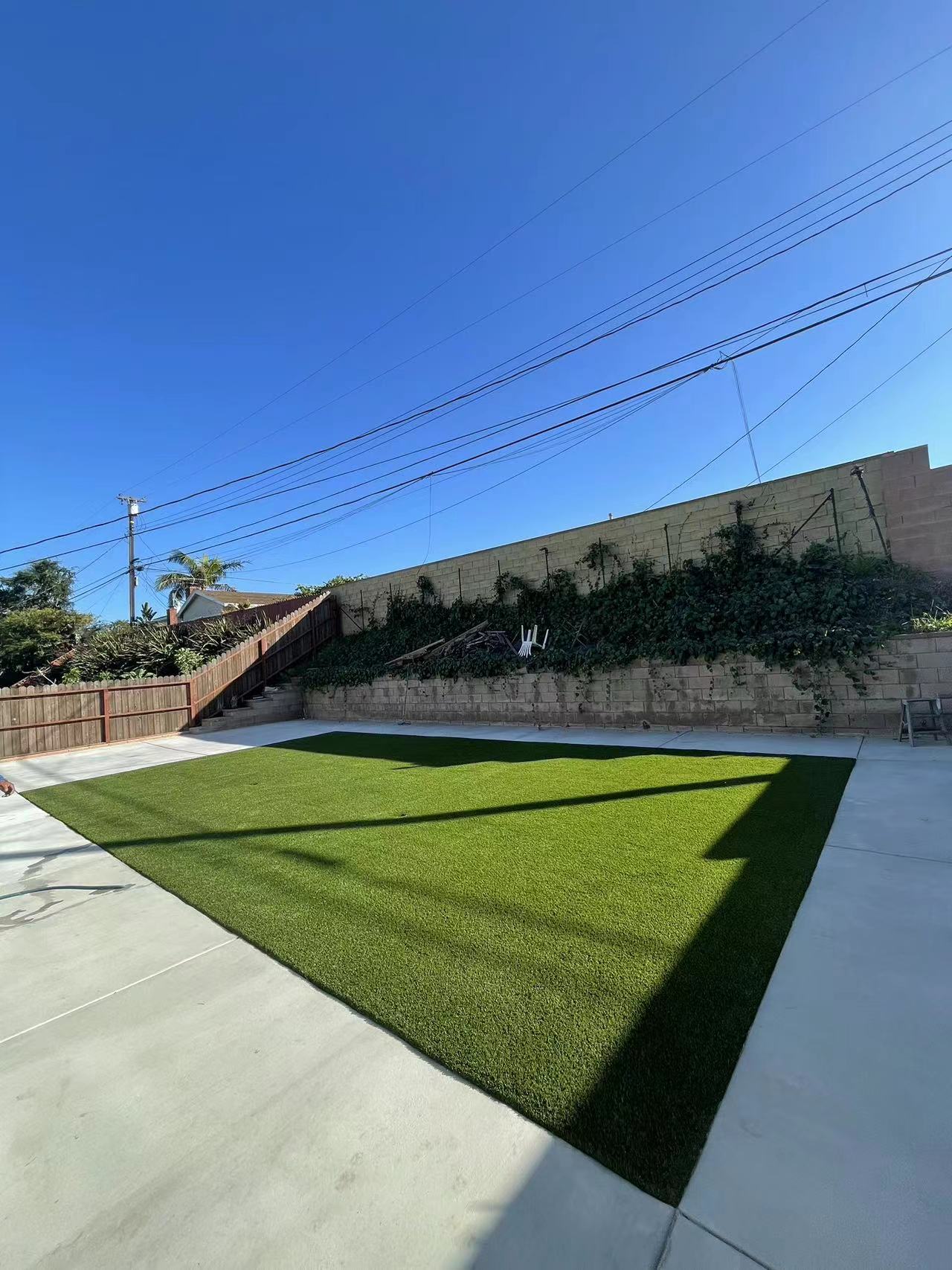 Torrance1.jpg